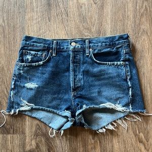 Agolde Parker Vintage Loose Fit Cutoff Shorts, size 28